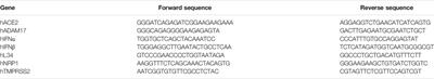 Pleural Mesothelial Cells Modulate the Inflammatory/Profibrotic Response During SARS-CoV-2 Infection